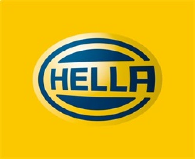Hella Rallye 4000 Stone Shield