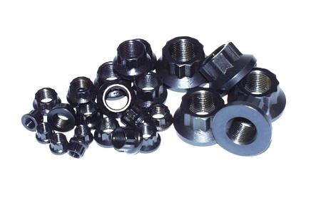 ARP 5/16-24 SS 12pt Nut Kit