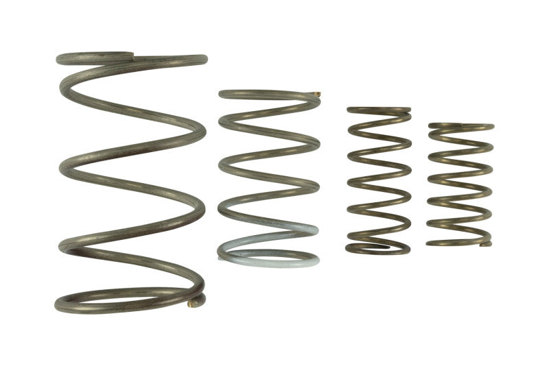 Turbosmart Gen V WG60 Spring Replacement Kit – Paradigm Automotive ...